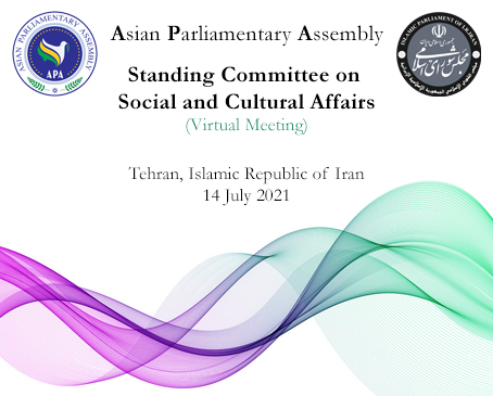  Standing Committee on Social and Cultural Affairs (Virtual Meeting)